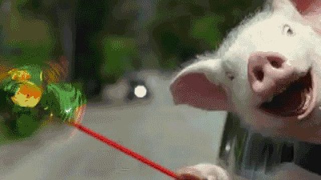 吸汤面-七星起飞