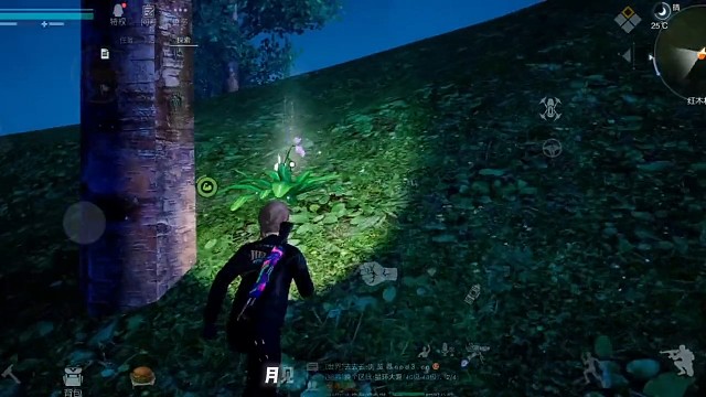 黎明觉醒#游戏日常月见花固定刷新位置，小伙伴们快来拿月见花成就吧？@