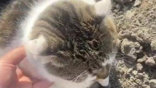 为什么不相信我挖的坑是真的很好