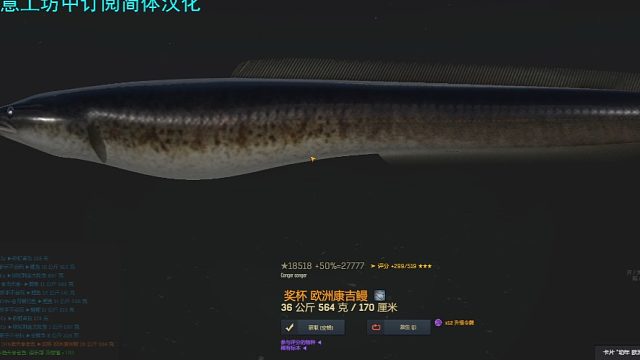 渔夫在线、40图欧洲康吉鳗