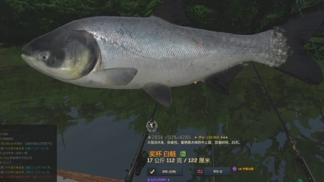 渔夫在线、中国DLC白鲢