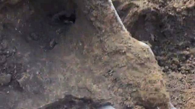 有些人看你好了，比杀了他还难受