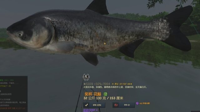 渔夫在线、中国DLC花鲢