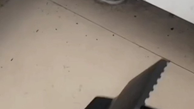 惊不惊喜意不意外