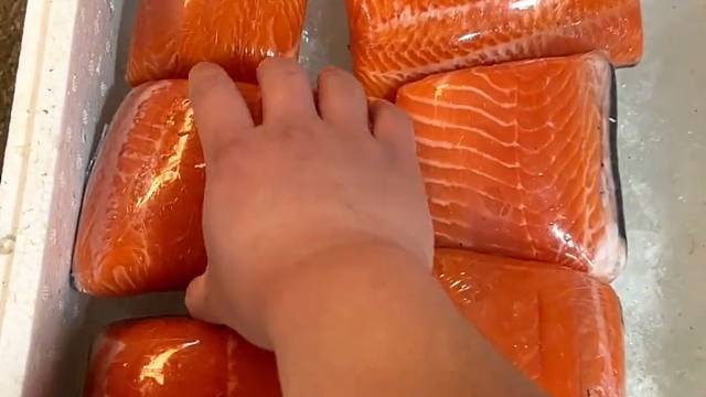 今天又是充满希望的一天