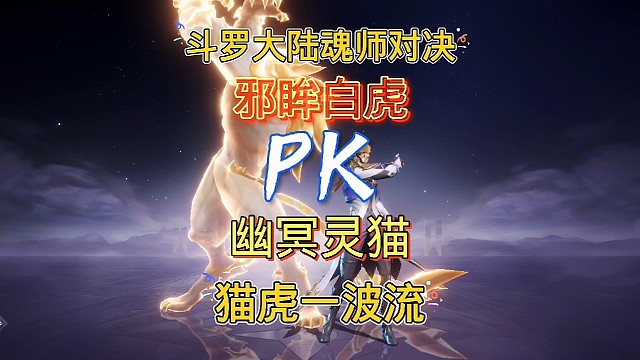斗罗大陆魂师对决：应粉丝要求测试系列，邪眸白虎VS幽冥灵猫