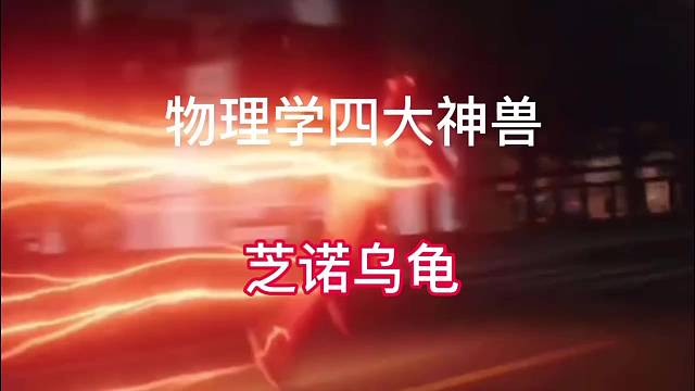 世界上跑的最快的人居然跑不过一只乌龟？