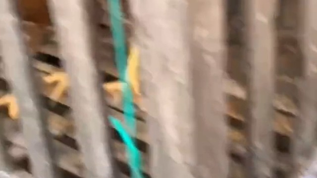 我这样做会不会被打[歪嘴]