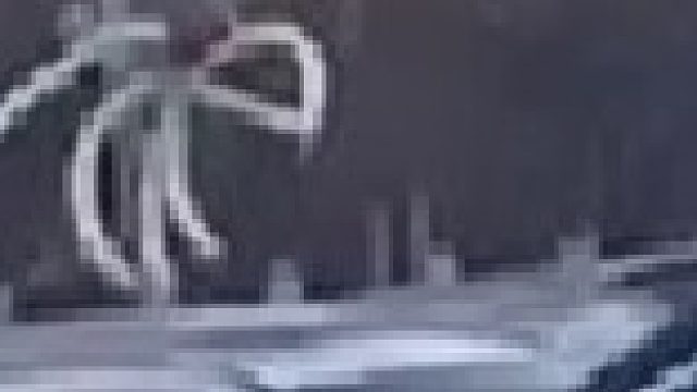 女子在幼儿园门口卖气球要被城管没收，一气之下将气球全部放飞