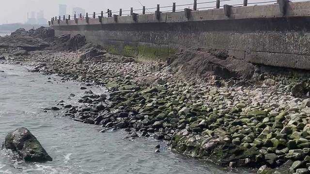 聆听大海的声音