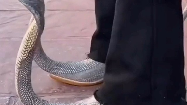 什么样的人才有资格穿这双鞋？