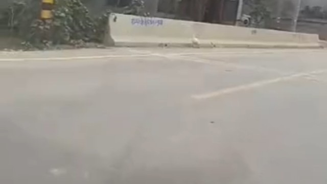 可怜的大鹅，你要笑死我