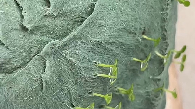 没想到吧我也没想到，这辈子还能遇见这种事，福气