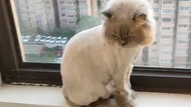 看（自己的）赘肉