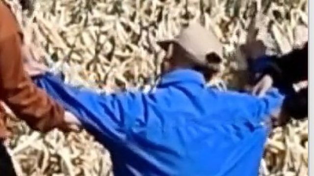 男子种了一百多亩大葱，却被葱的价格跌到崩溃