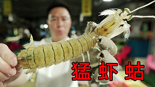 逛惠州碼頭居然發(fā)現(xiàn)猛蝦蛄，吊打泰國(guó)富貴蝦，性價(jià)比超高