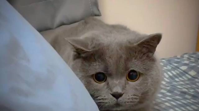 某人希望你开开心心按时吃饭按时睡觉想我了记得来看我