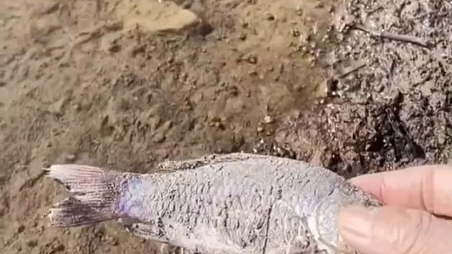 三体中的脱水吗