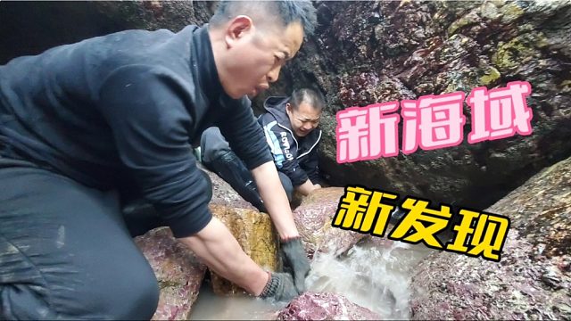 新海域发现洞型水坑，大伙抽干一看，底下竟是成双成对的值钱货