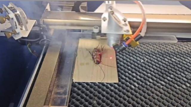 挨激光凌迟，下赛博地狱