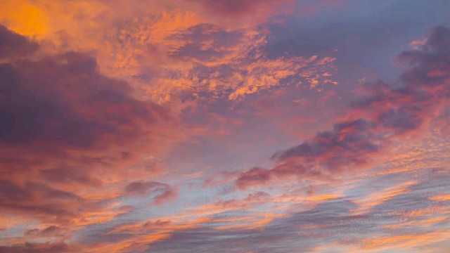 勇敢鼠鼠不怕困难