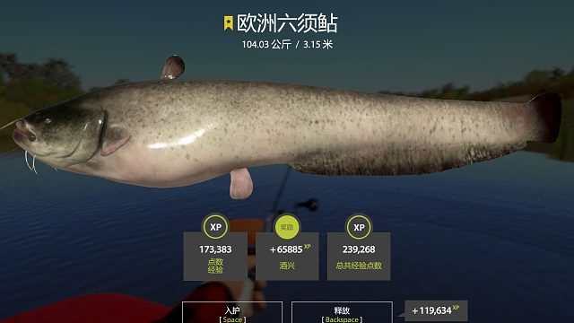 坚持就会有星猪+1