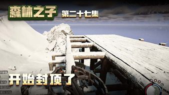 森林之子第二十七集：開始封頂了！光明頂指日可待！