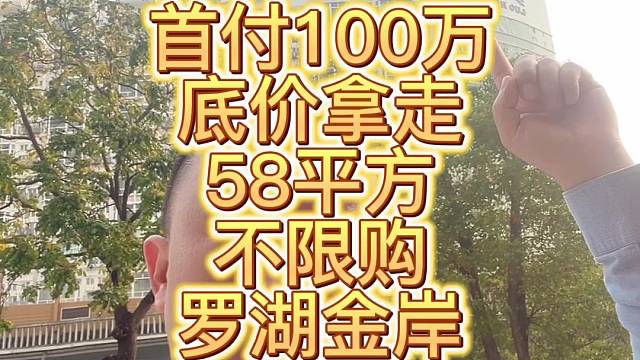 首付100万
底价拿走
58平方
不限购
罗湖金岸