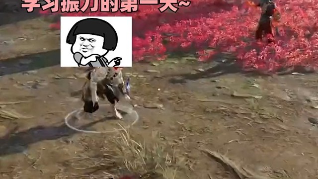 我总有一天会变强的
