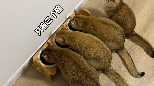 小老三：只要我不尴尬，尴尬的就是别人