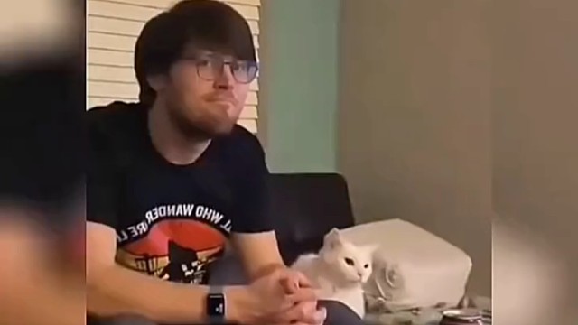 猫：老公你说句话啊