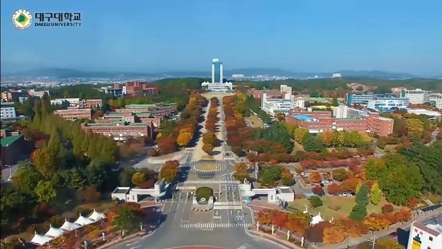 韩国大邱大学
