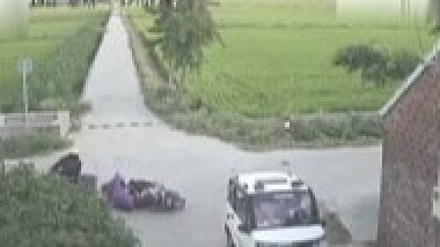 跑的比兔子还快