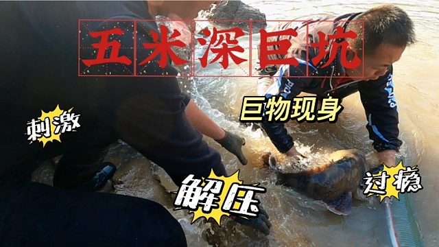 用秘制饵料打窝的五米巨坑，引来两条深海巨物，连大红斑都不香了
