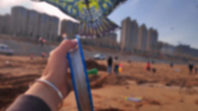 春天就应该放一个美美的风筝