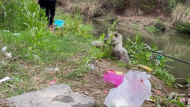 钓鱼就得应该两个人钓