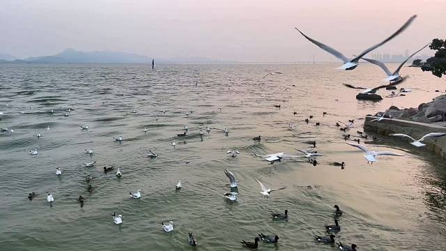 你总以为机会无限