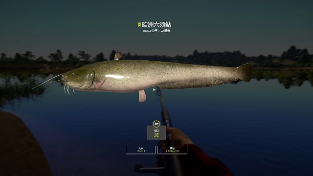 新手149，拉了10公斤猪！