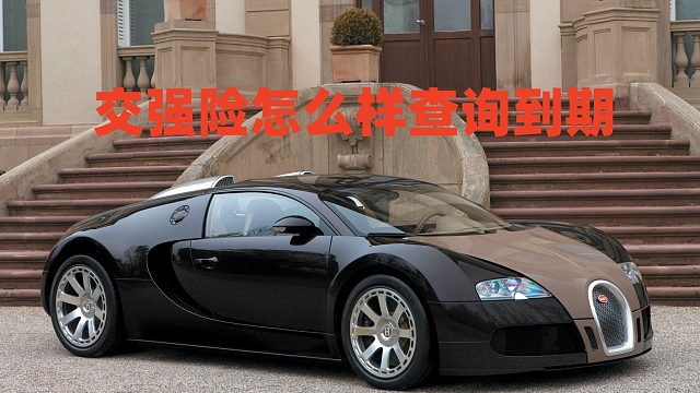 交强险怎么样查询到期