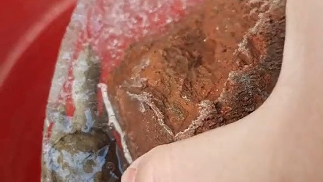 不好意思把你忘在阳台上冻成了冰块