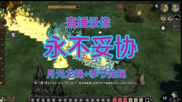 永不妥协之月光龙蝇