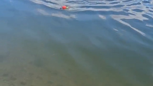 好不容易中一条大