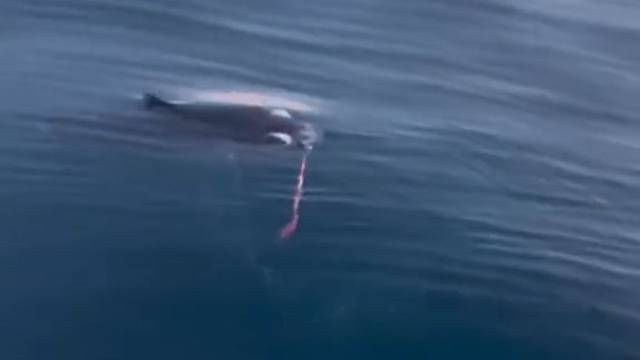 这得多少米水深啊？