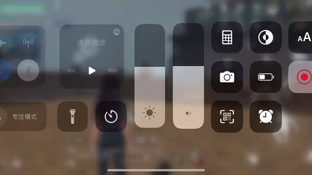 怎么能把猫可以带出来，教学