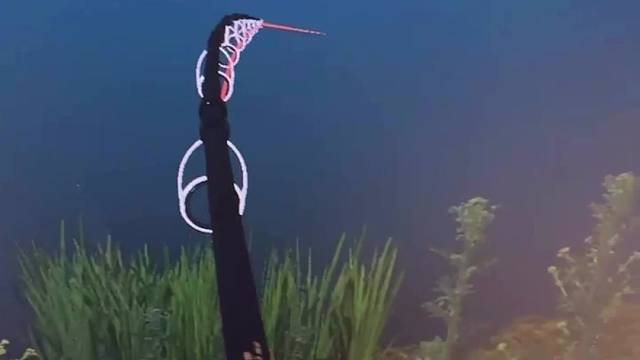 800➕的鳇
可惜掉线了~