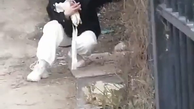 才华这东西不常见