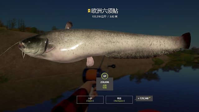 瘟猪小河道进进出出