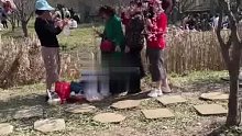 春天游园的大妈真令人讨厌！拍出来发朋友圈也不嫌丑…