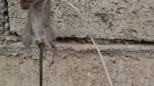 转发的，挺搞笑得。