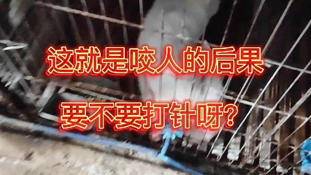 我发布了一个新视频，快来围观吧！